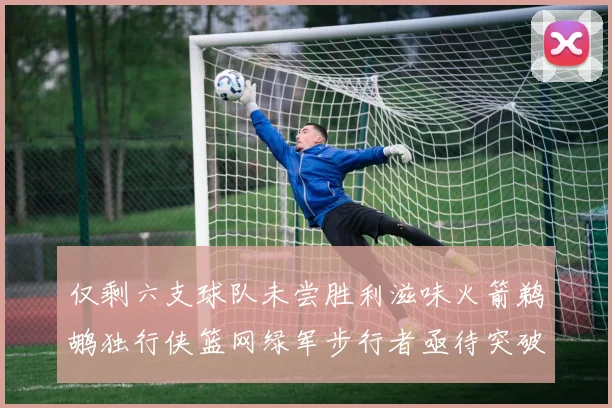 仅剩六支球队未尝胜利滋味火箭鹈鹕独行侠篮网绿军步行者亟待突破困境