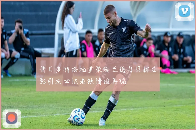 昔日多特搭档重聚哈兰德与贝林合影引发回忆老铁情谊再现