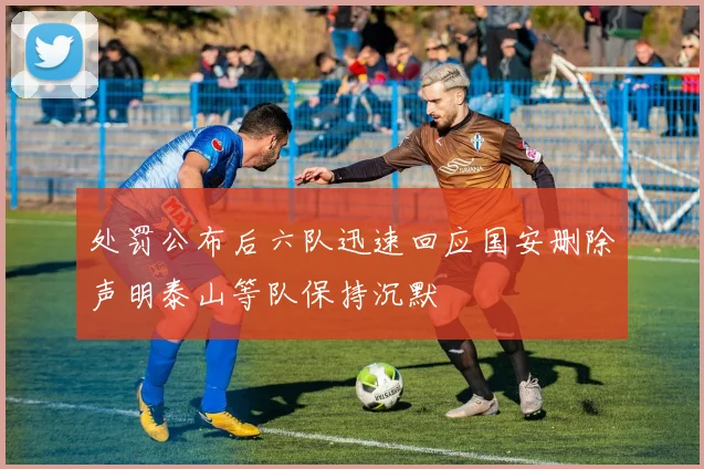 处罚公布后六队迅速回应国安删除声明泰山等队保持沉默