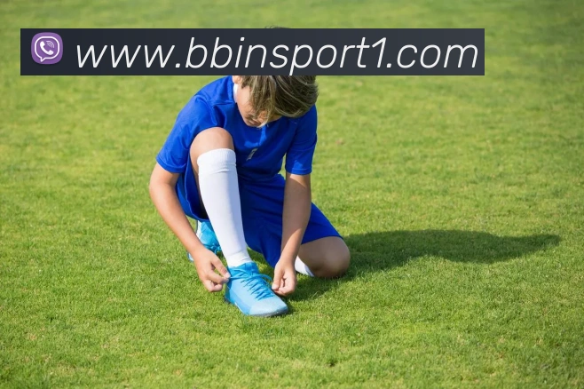 BBIN体育发展历程