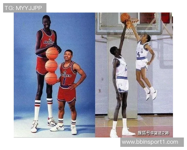 NBA历史上赛季场均2055表现的传奇球员统计分析